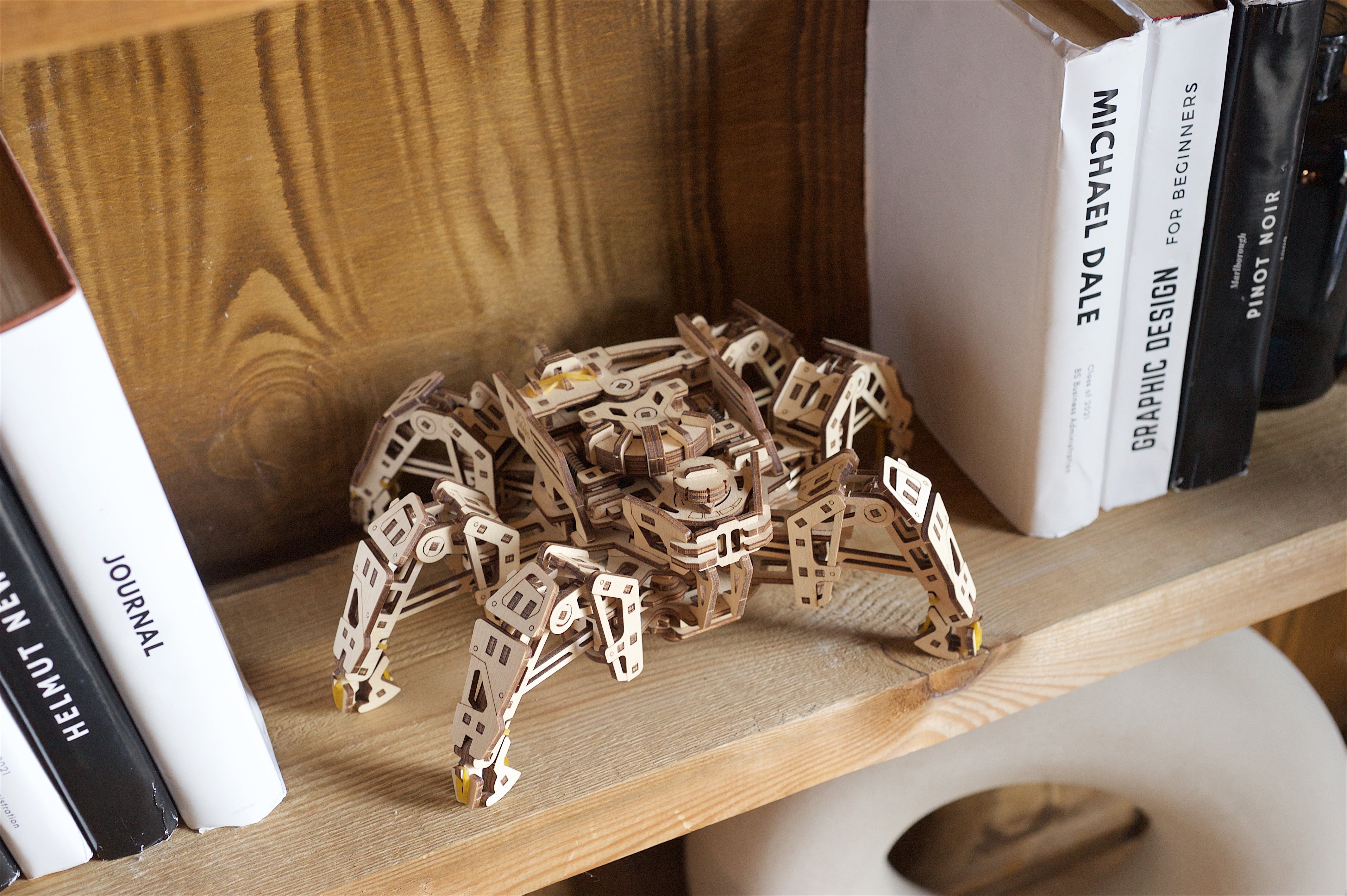 Hexapod Explorer - Insektenroboter