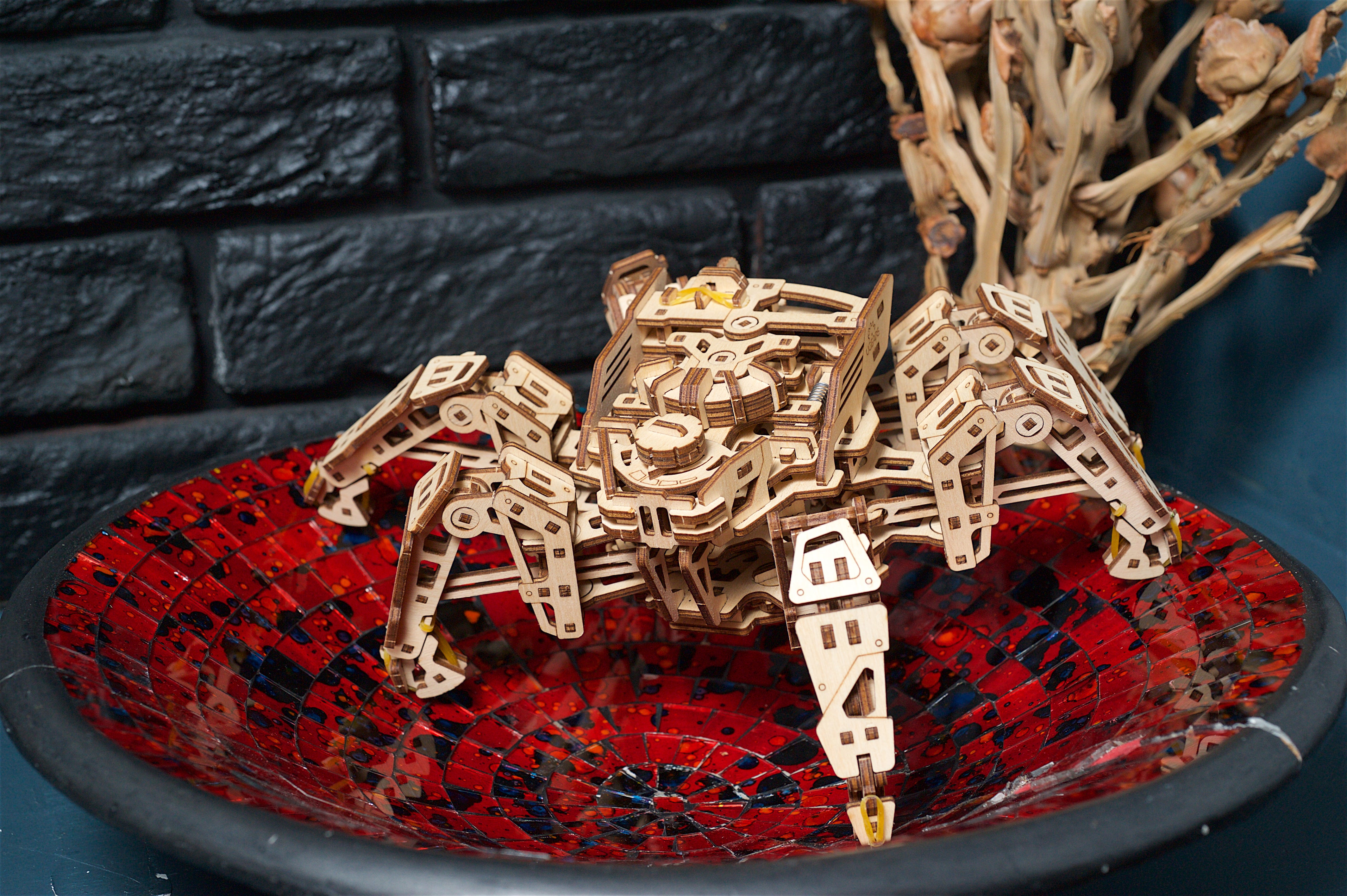 Hexapod Explorer - Insektenroboter