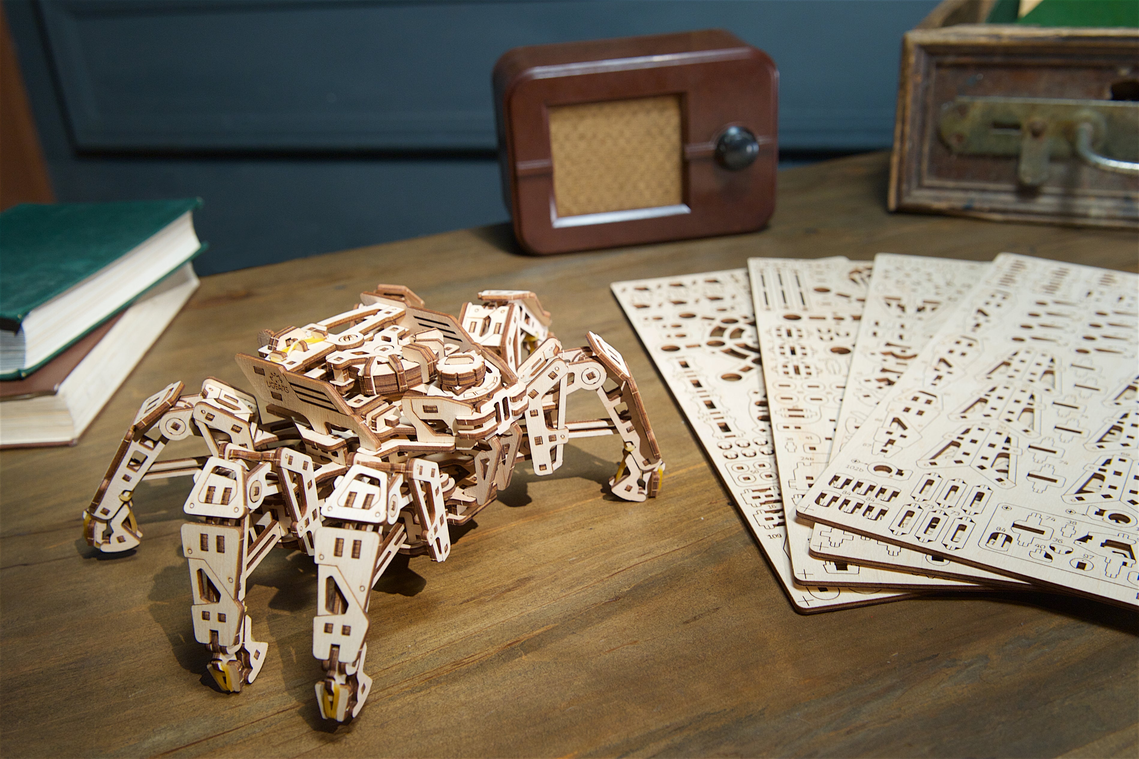 Hexapod Explorer - Insektenroboter