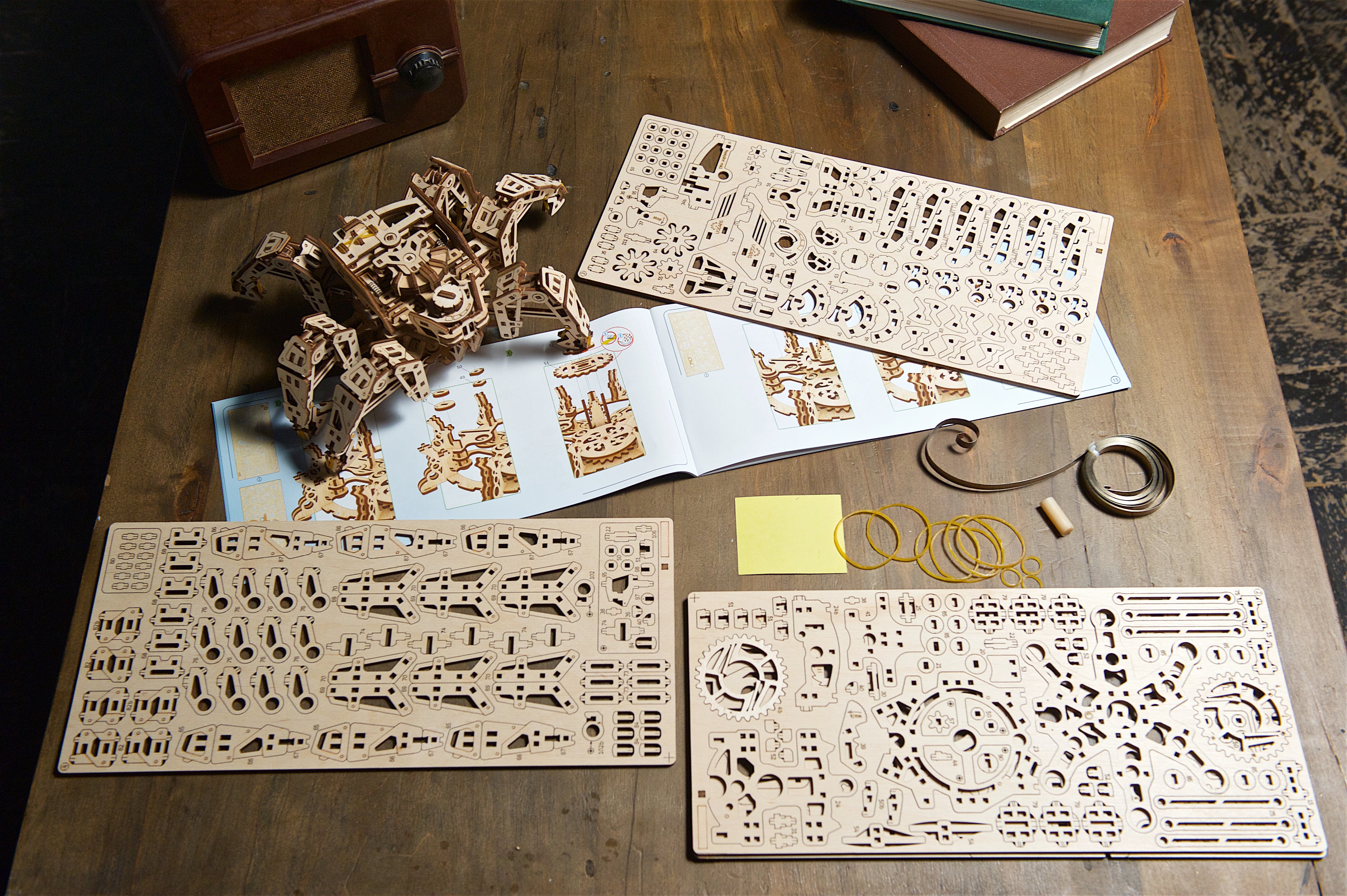 Hexapod Explorer - Insektenroboter