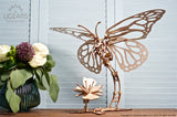 Schmetterling