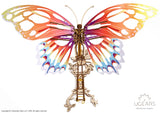 Schmetterling